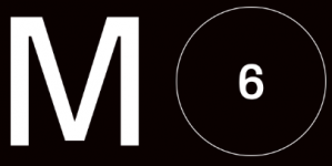 Momentum 6 logo