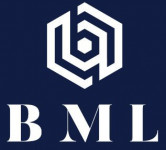 Blue Mountain Labs logo