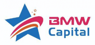 BMW Capital logo