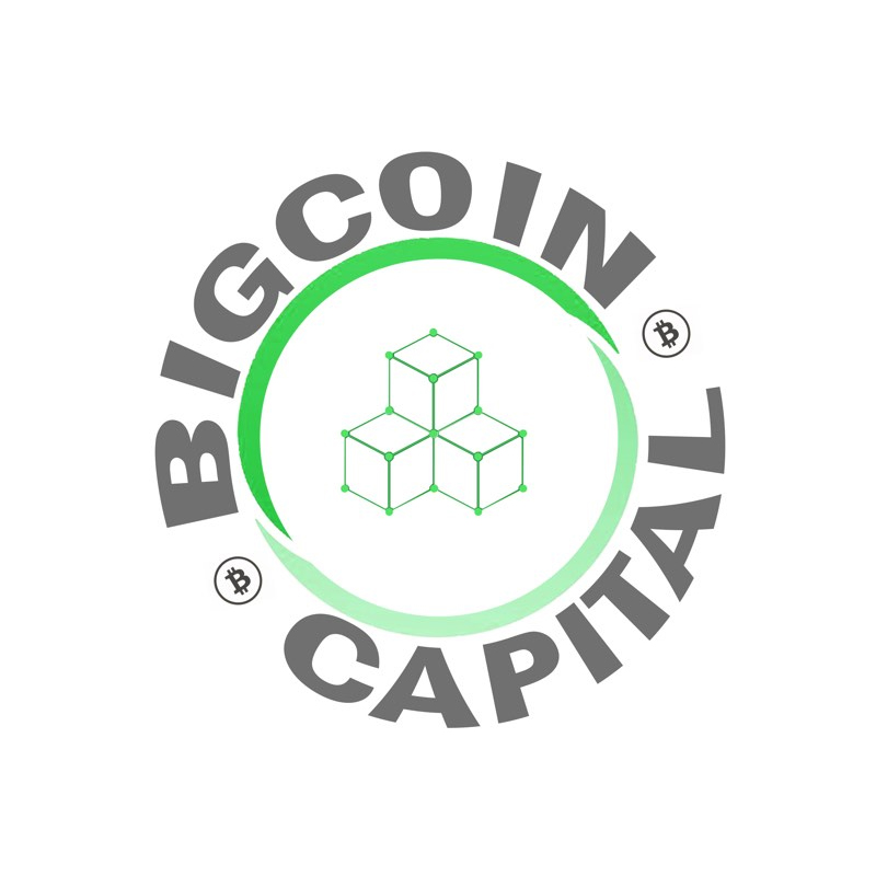 Bigcoin Capital logo