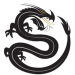 Black Dragon Capital logo
