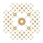 YAP Capital logo